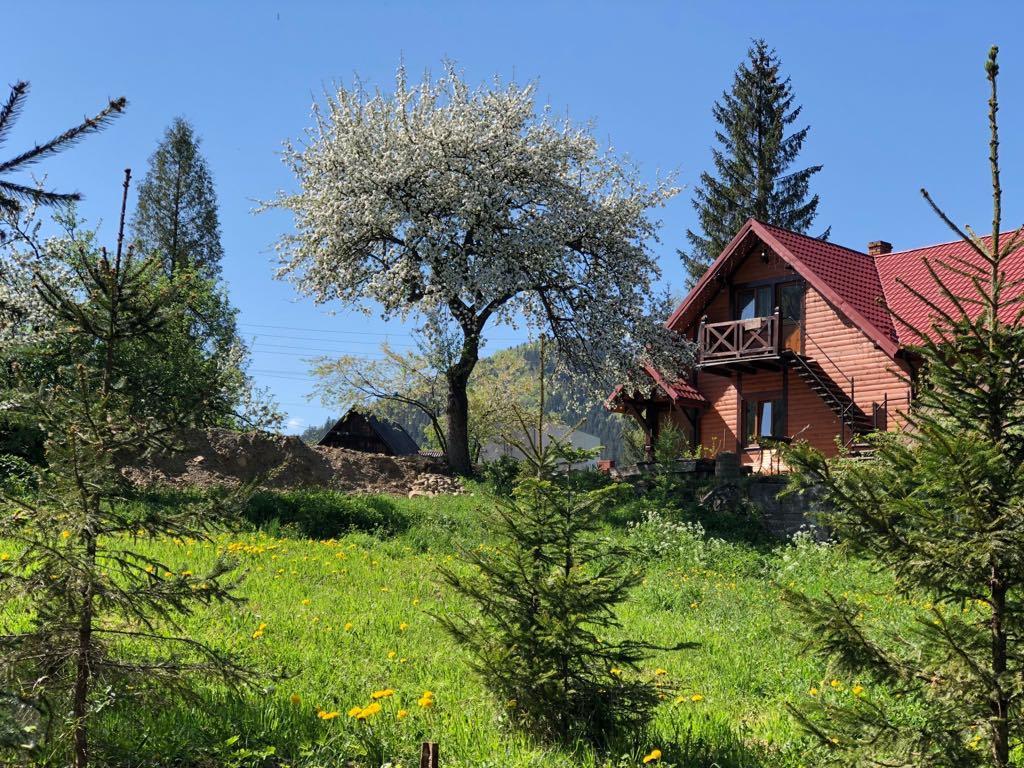 Nad Prutom Apartment Tatariv Buitenkant foto